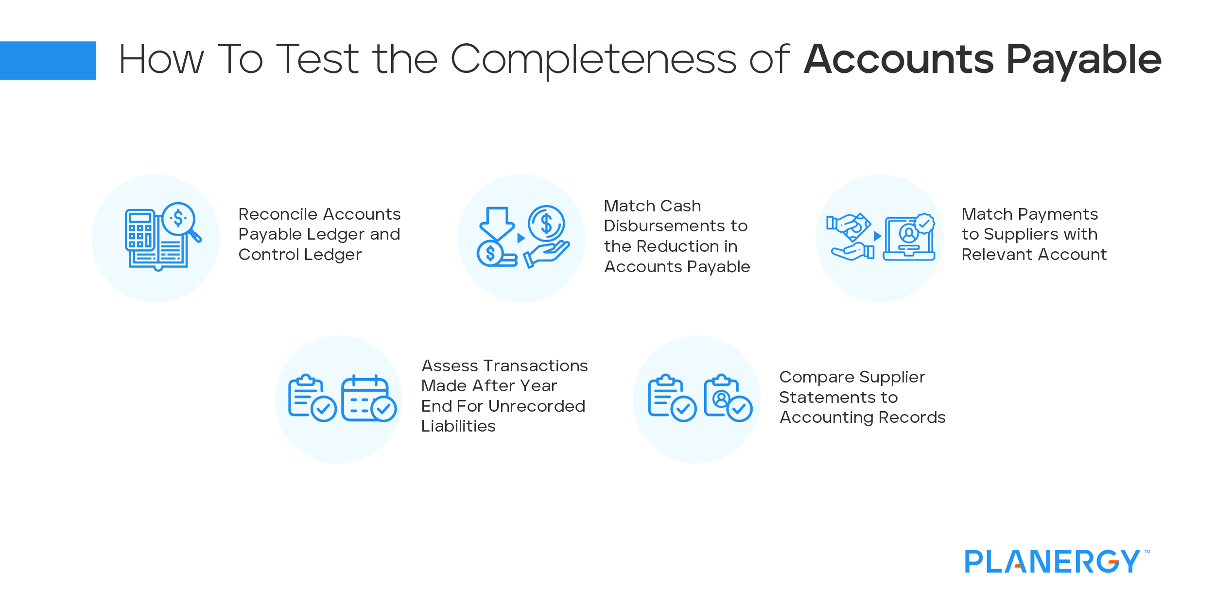 Accounts Payable Audit Procedures PLANERGY Software