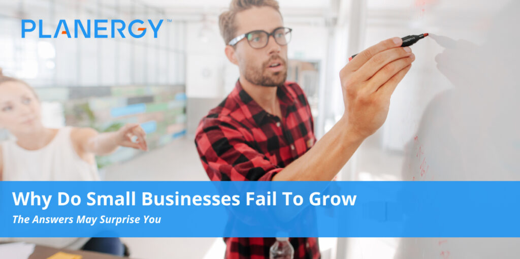 Why Do Small Businesses Fail To Grow