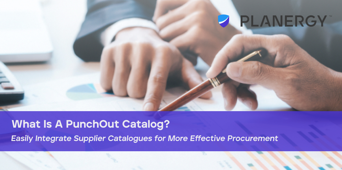 What Is A PunchOut Catalogue? PLANERGY Software