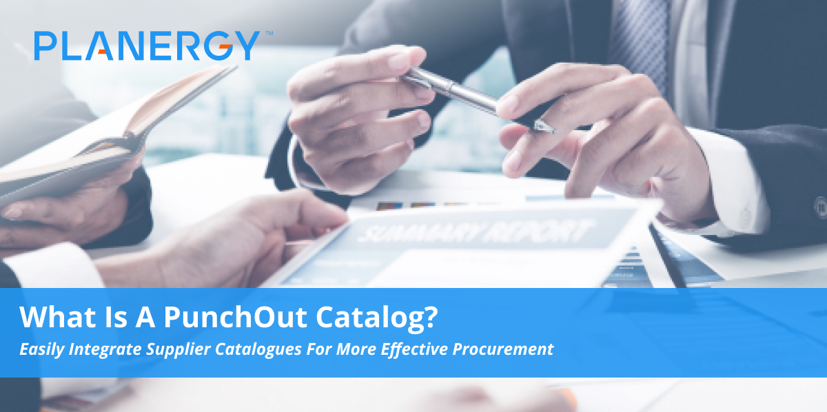 What Is A PunchOut Catalogue? Planergy Software