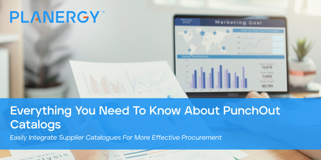 Everything You Need To Know About PunchOut Catalogs Planergy Software