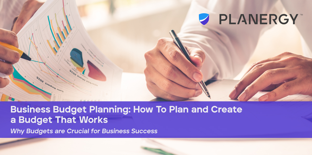 business planning and budgeting mis