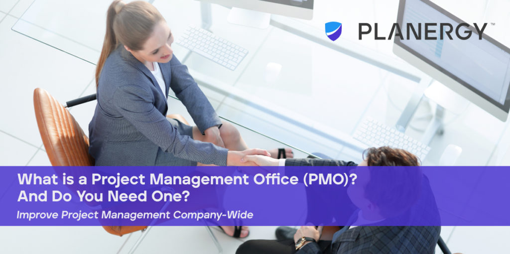 What Is A Project Management Office (PMO)? And Do You Need One ...