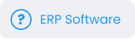 Custom ERP Software Integration