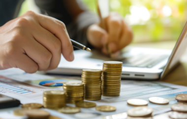 Solvency Ratio Types, Examples and How Is It Calculated