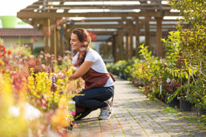 Garden Centre Worker Tending Flowers