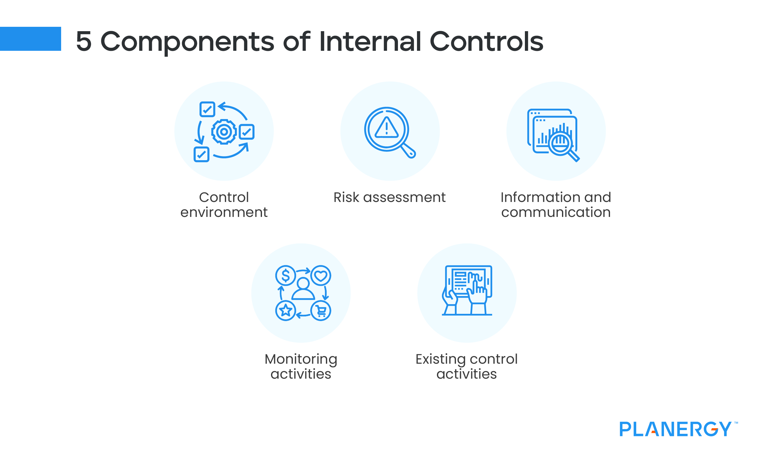 5 Components of Internal Controls