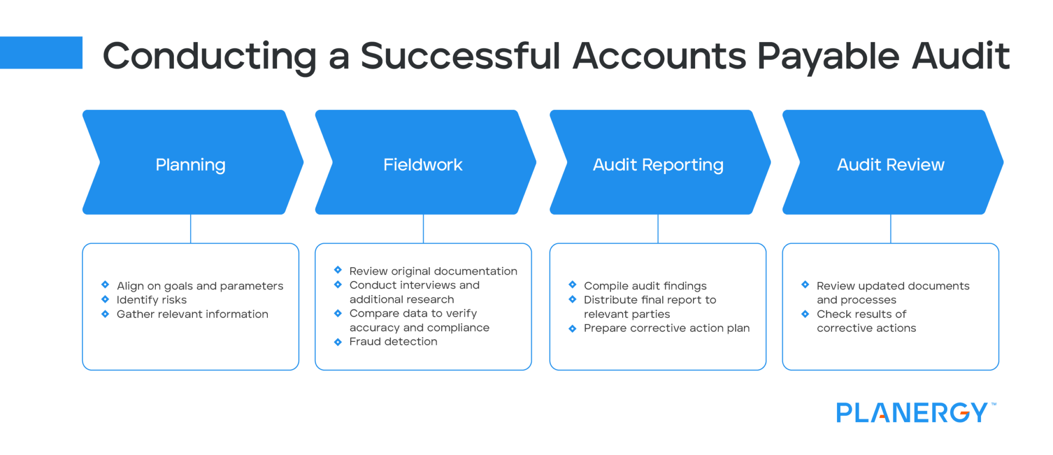 Accounts Payable Audit Procedures | Planergy Software