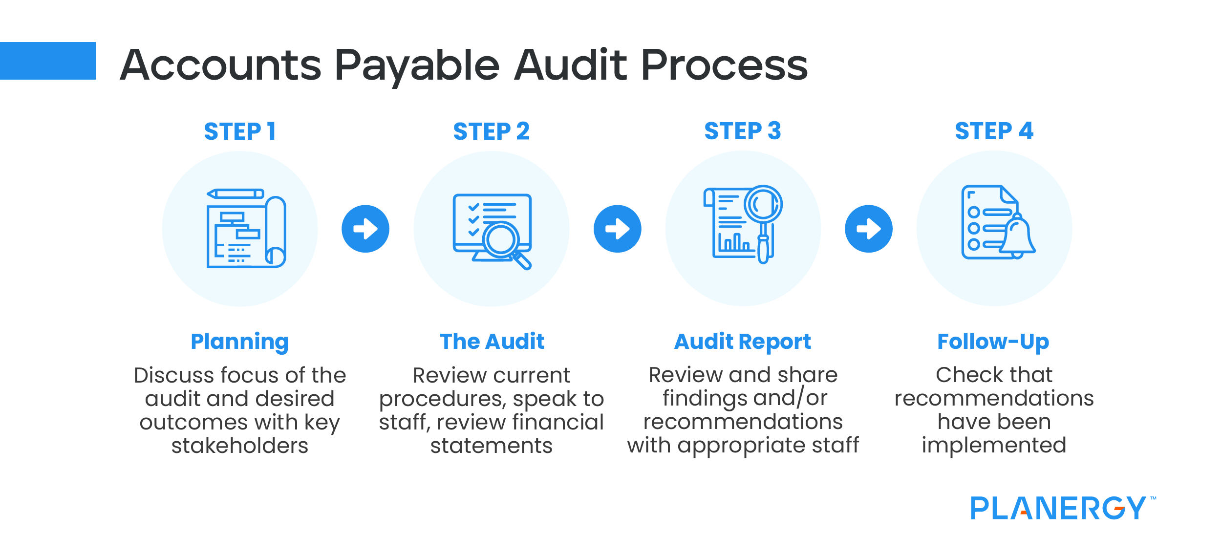 Accounts Payable Audit Program | Planergy Software