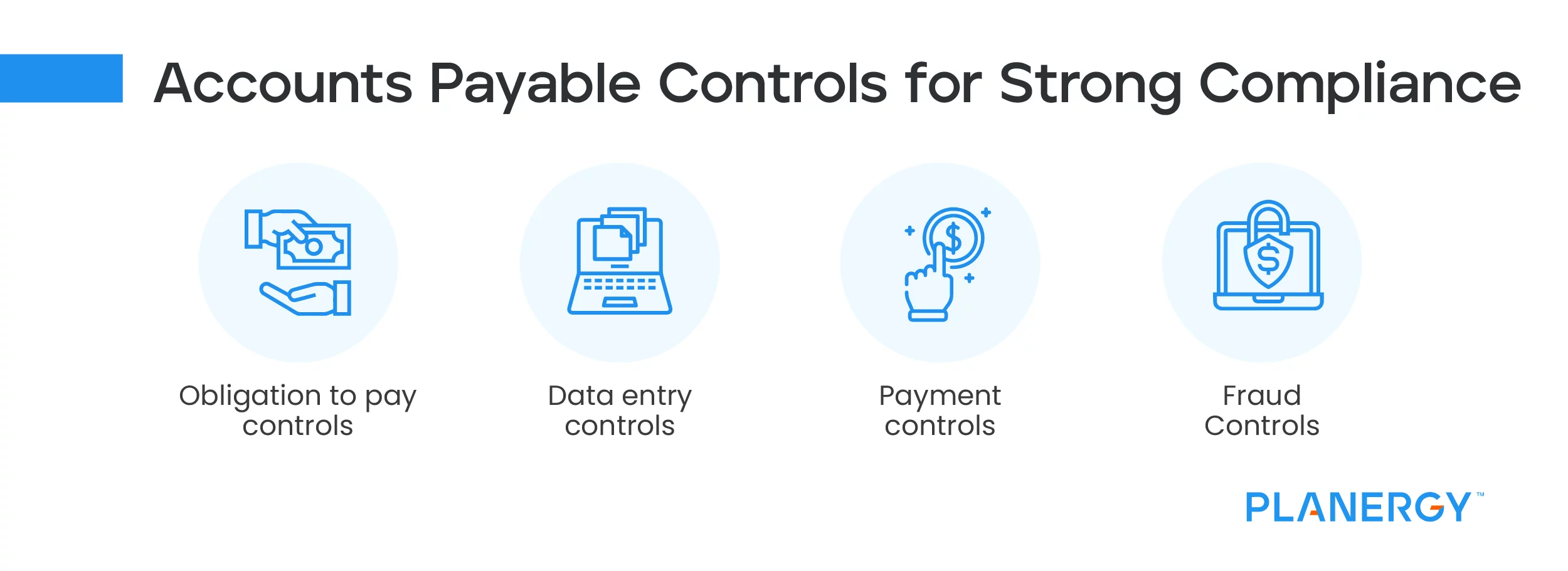 Accounts Payable Audit Program | Planergy Software