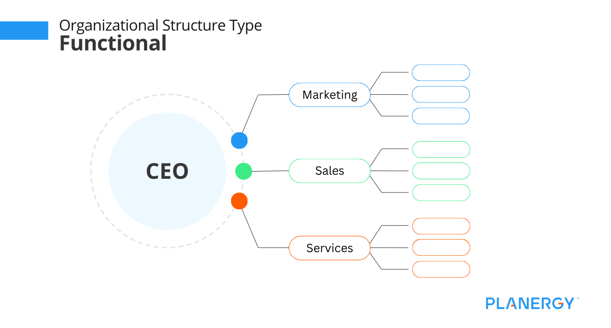 Functional Organizational Structure