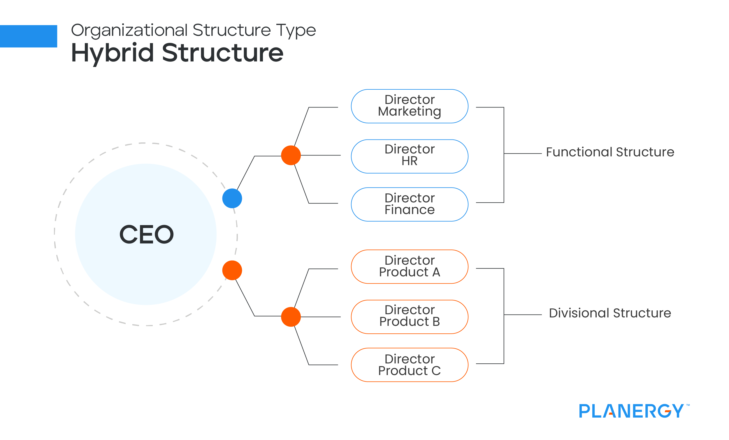 Hybrid organizational structure