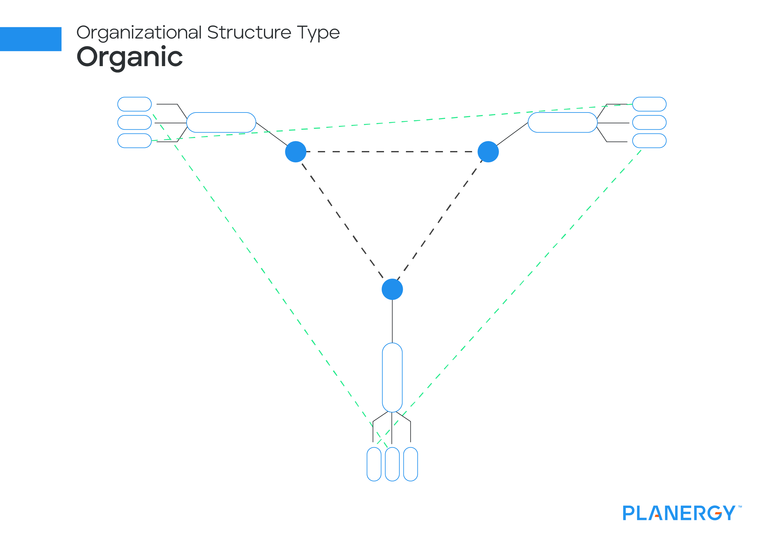 Organic organizational structure