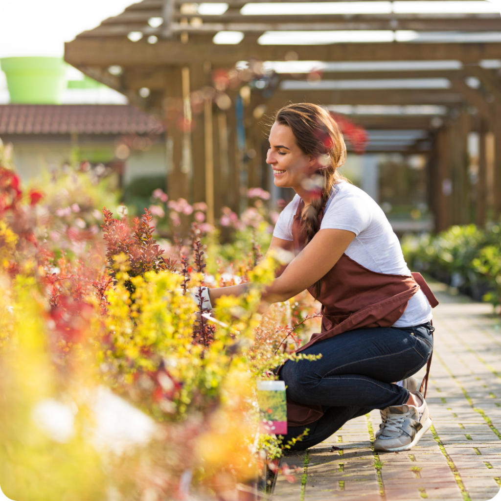 Brick Kiln Garden Centre Case Study
